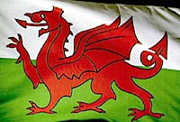 Welsh Flag